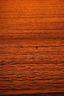 DSC_0019.jpg
