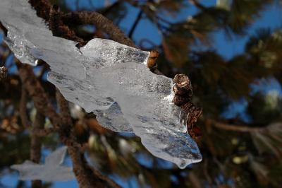 DSC_0028.jpg