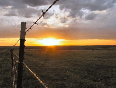 Barbed Wire and Sunset