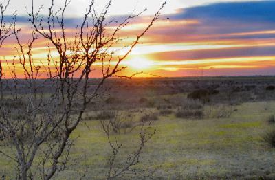 Sunset on Golden Prairie