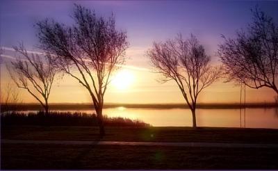 Lake At Morning