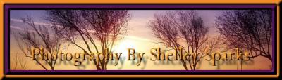 banner2.jpg