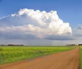 Dirt Road and Big Cloud