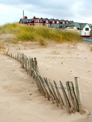 PICKETS IN THE SAND