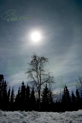 jan_21_2005