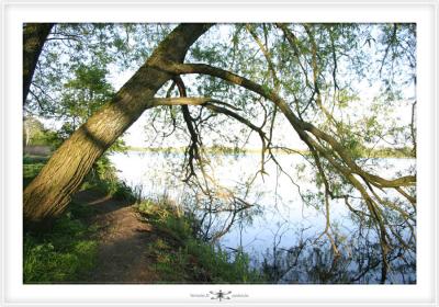 SCHULENS LAKE  0006.jpg