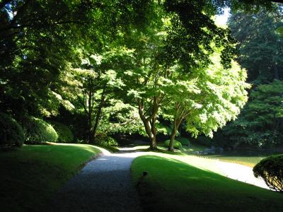 Nitobe Gardens , U.B.C.