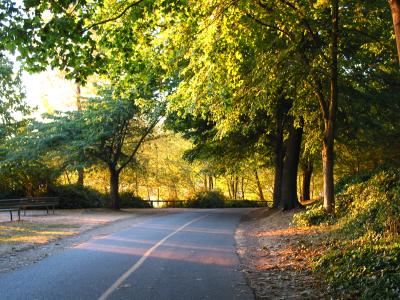 Stanley Park