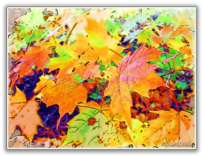 Autumn maple leaves - watercolour