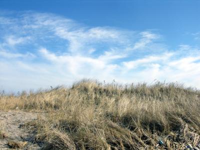 grass and clouds