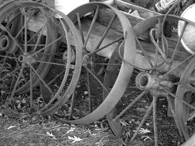 WHEEL03_0034 Small.jpg