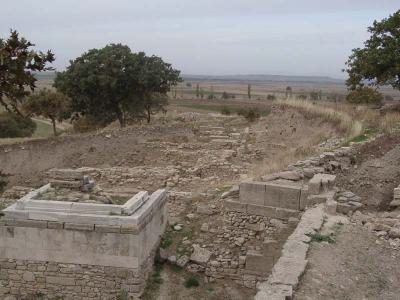 Troy 4
