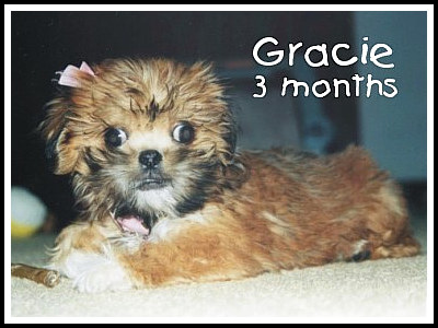 Three Months