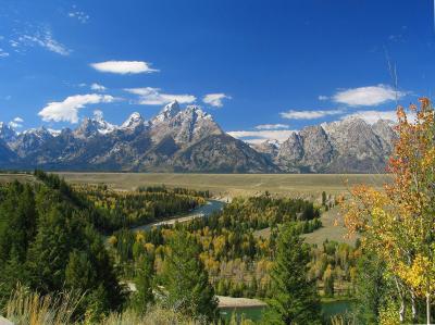 Snake River View