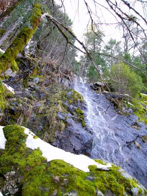 Bridal Veil Falls (Jan 17th)