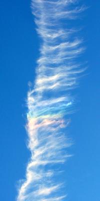 contrail (Apr 10th)
