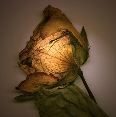 2nd Place - Memoryby Ro Miller