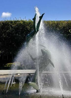 Flipper...Flip Her?