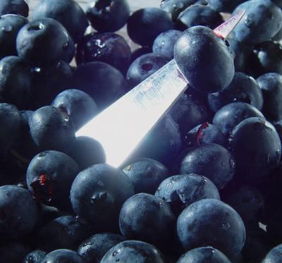 Blade and blueberries.  MarkF