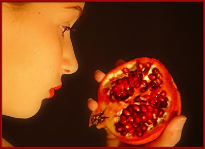 Pomegranate II by Sarah D