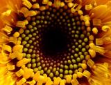 <B>Look Into My Soul...</B><BR><FONT size=1>by Mark J</FONT>