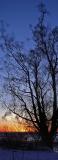 Foreground/ background (2)*<br>by Rich