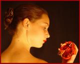 Pomegranate I by Sarah D