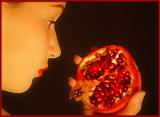 Pomegranate II by Sarah D