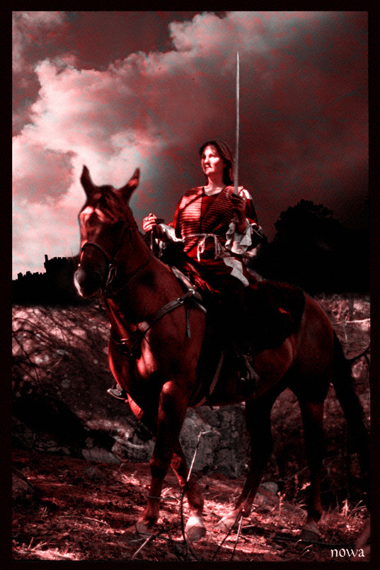 Joan..worth a thousand knights       by irish_eye