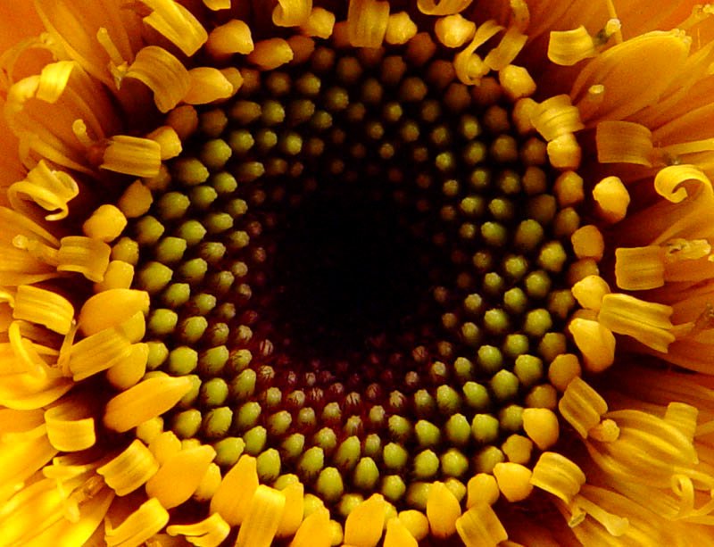<B>Look Into My Soul...</B><BR><FONT size=1>by Mark J</FONT>