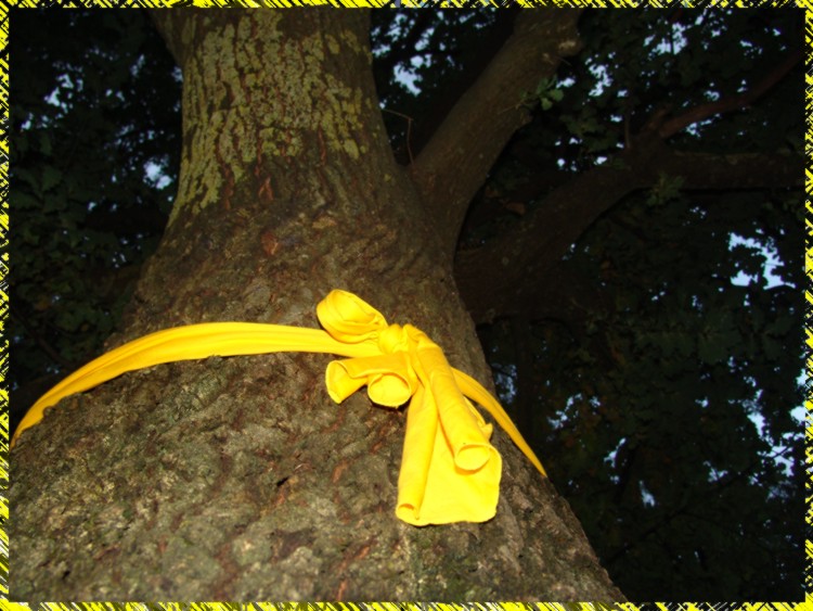 Tie a Yellow Ribbon