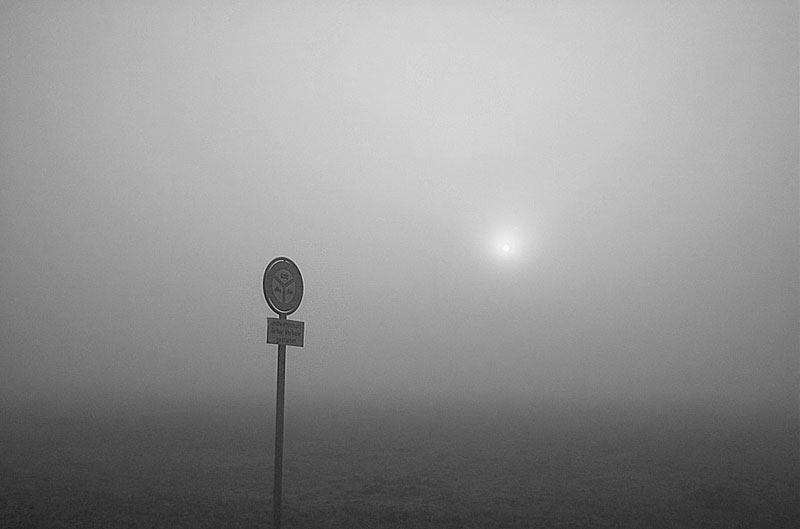 6th<br><b>Fog</b>