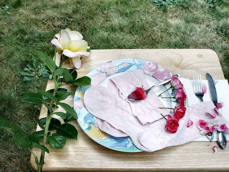 Dish    By Scutellata