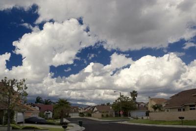 Landscapes