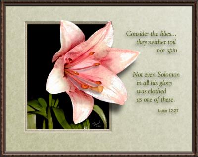 Consider The Lilies...