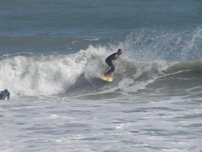 P1010077.JPG