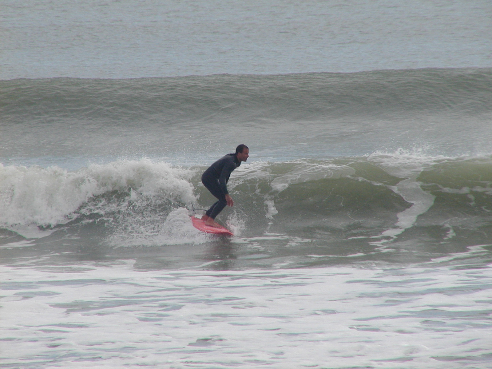 P1010037.JPG