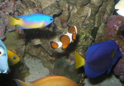 u15/tastyorange/medium/42670128.P4270311.jpg