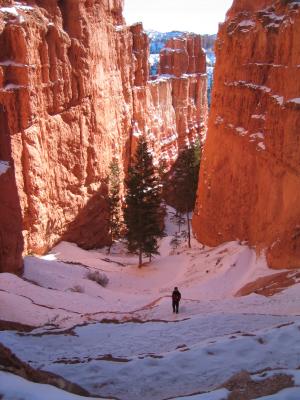u15/termite/medium/11174742.bryce0055_r1.jpg