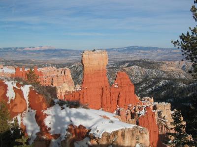 u15/termite/medium/11174805.bryce20099.jpg