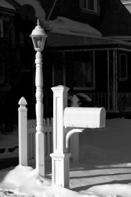 black and white in the sun