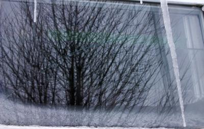 kitchen window