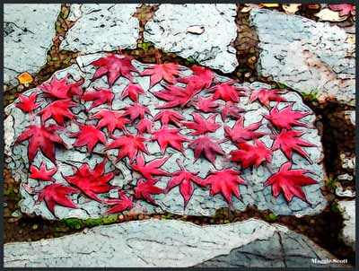 Red Leaf on Blue Slate