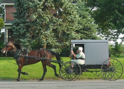 Amish Overloaded
