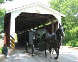 Covered Bridge  Amish Buggy