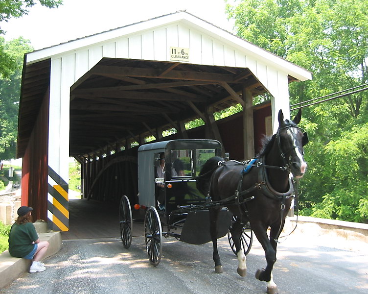 Covered Bridge  Amish Buggy