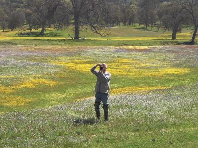 Meadow with Photographer