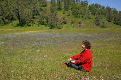 Meadow and Observer