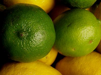u15/themarmot/medium/41840088.citrus_2.jpg