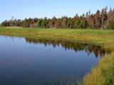Lawrencetown Abandoned Railroad Trail.